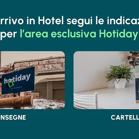 Hotiday Collection -